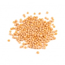 картинка Горчицы семена ФС, 50 гр